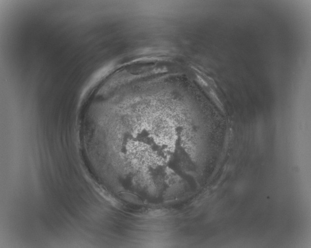 X0000062140149200512231514