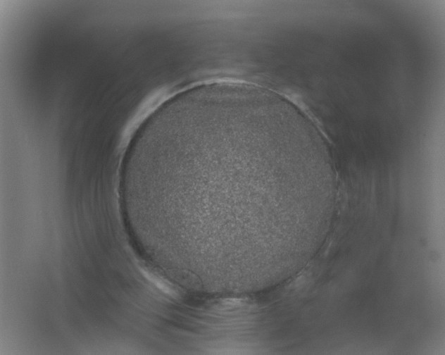 X0000062140151200512231514