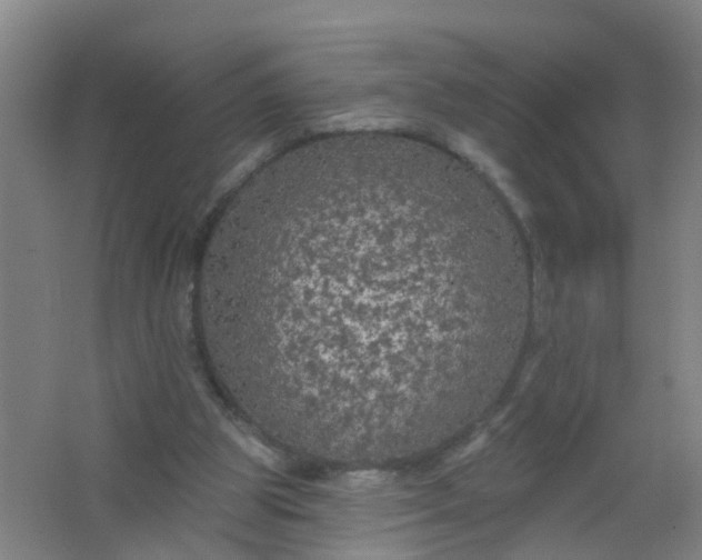 X0000062140153200512231514