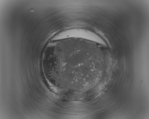 X0000062140154200512231514