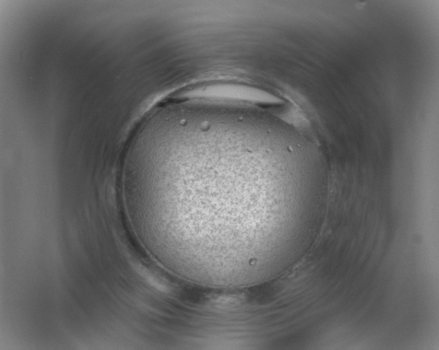 X0000062140155200512231514