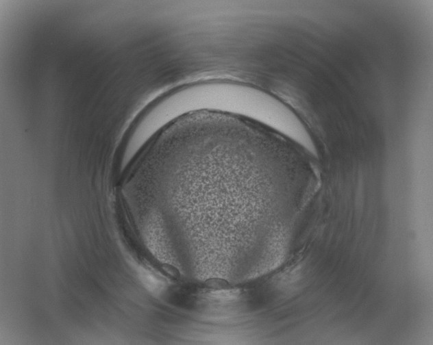 X0000062140156200512231514