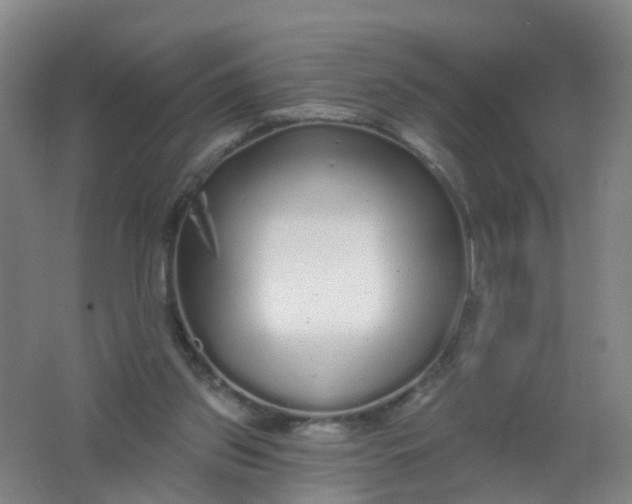 X0000062140157200512231514