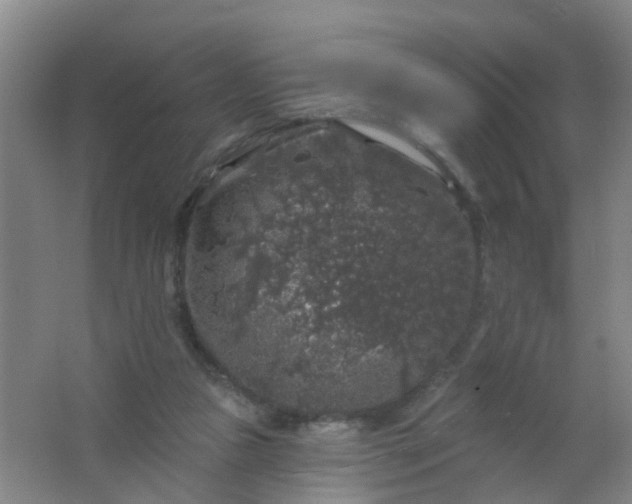 X0000062140161200512231514