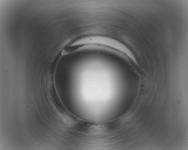 X0000062140164200512231514