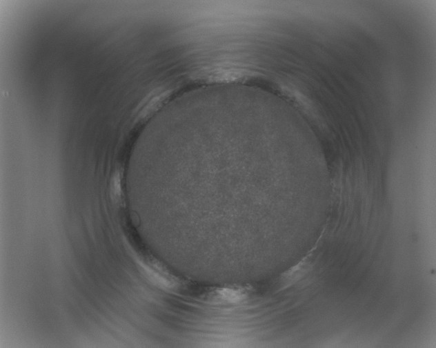 X0000062140166200512231515