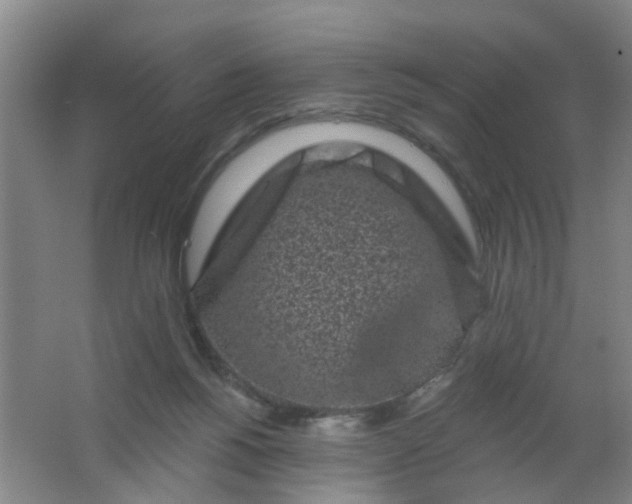 X0000062140168200512231515