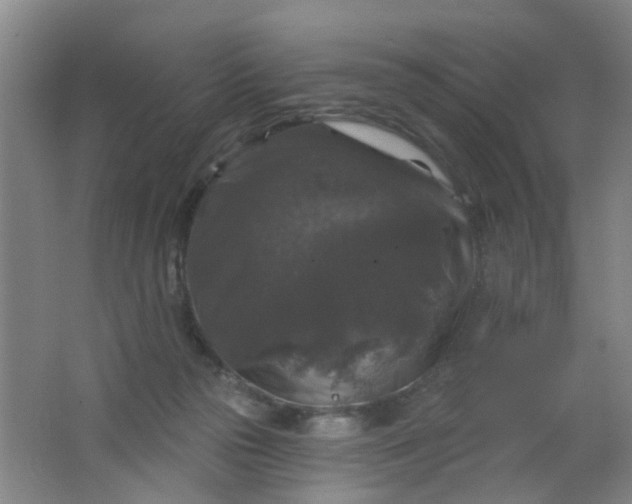 X0000062140169200512231515