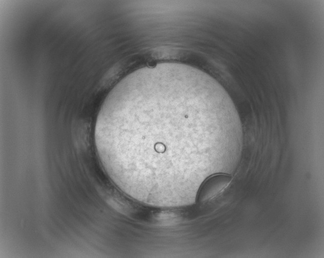 X0000062140171200512231515