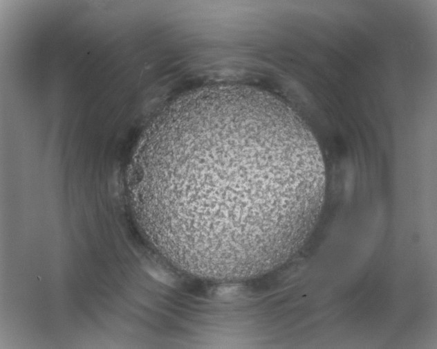 X0000062140173200512231515