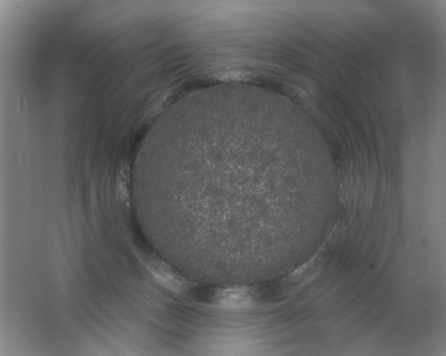 X0000062140175200512231515