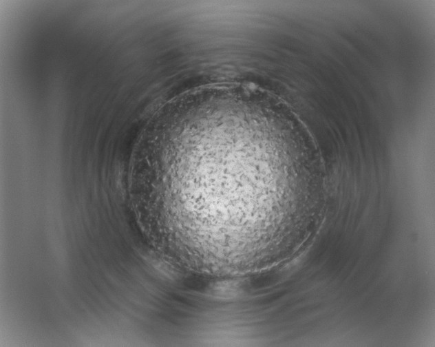 X0000062140178200512231515