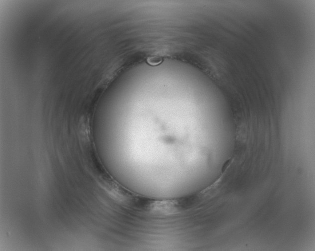 X0000062140179200512231515