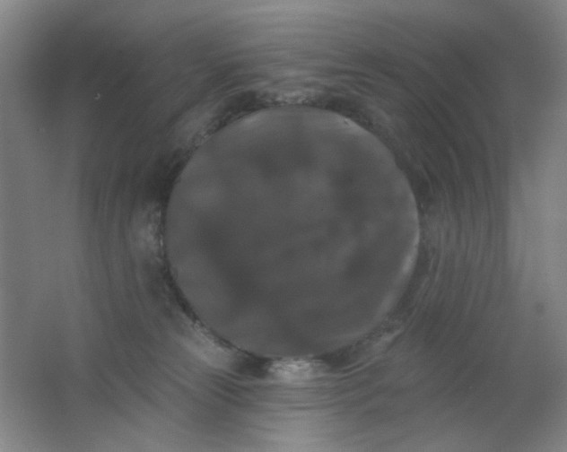 X0000062140181200512231515