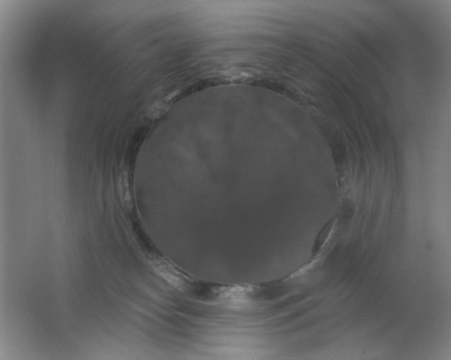 X0000062140182200512231515