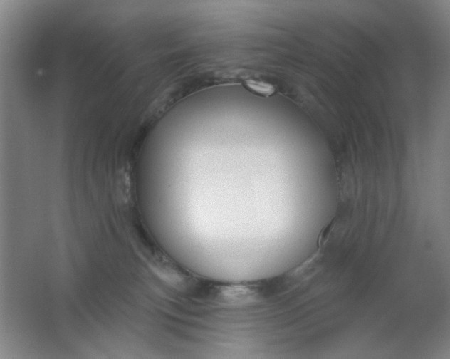 X0000062140183200512231515