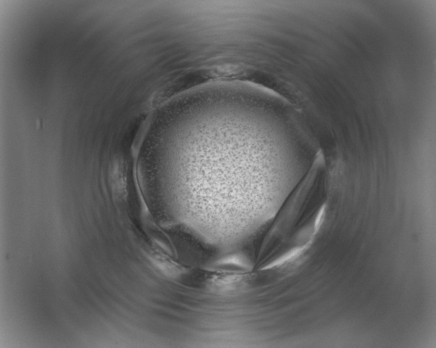 X0000062140186200512231515