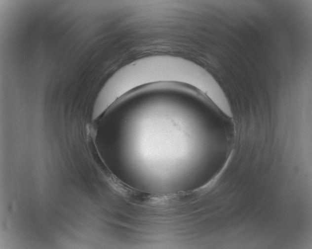 X0000062140190200512231515