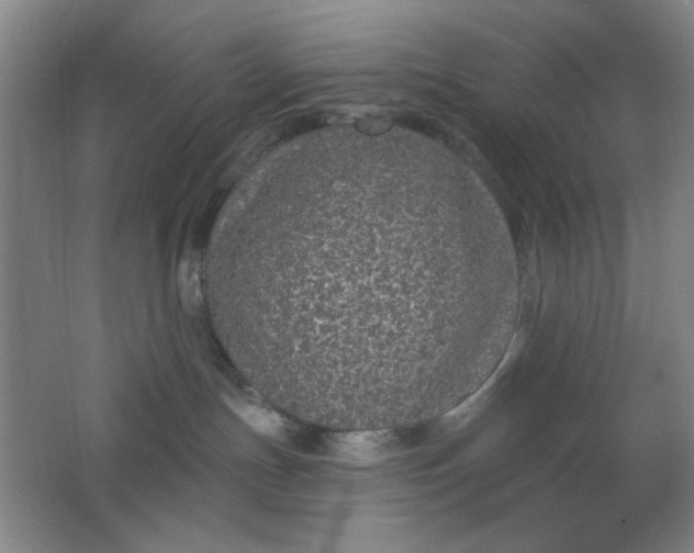 X0000062140191200512231515