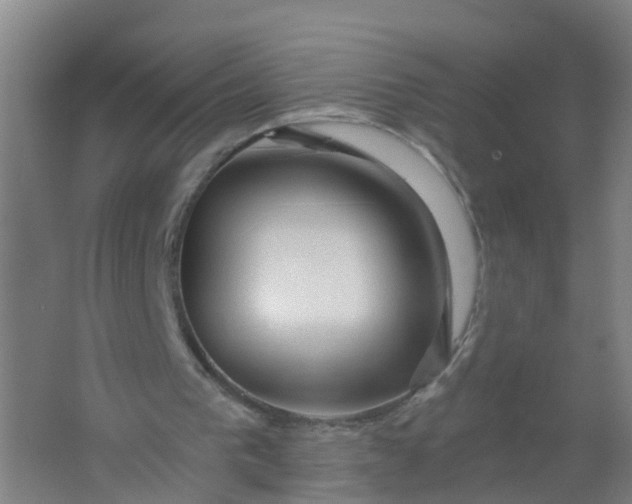 X0000062140193200512231514