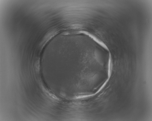 X0000062140194200512231514