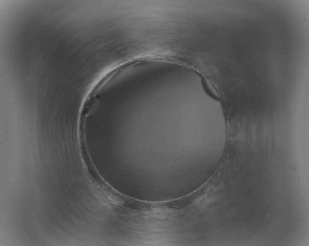 X0000062140196200512231514