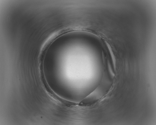 X0000062140197200512231514