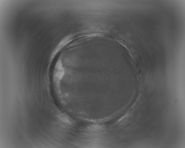 X0000062140198200512231514