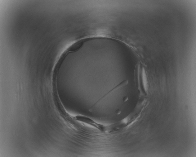 X0000062140200200512231514