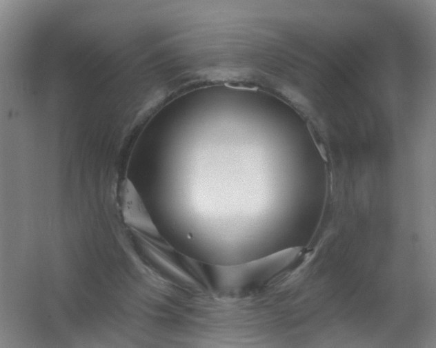 X0000062140201200512231514