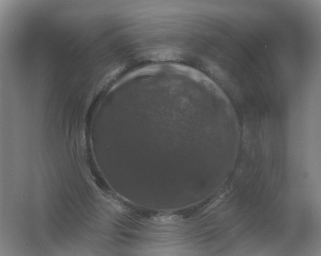 X0000062140202200512231514