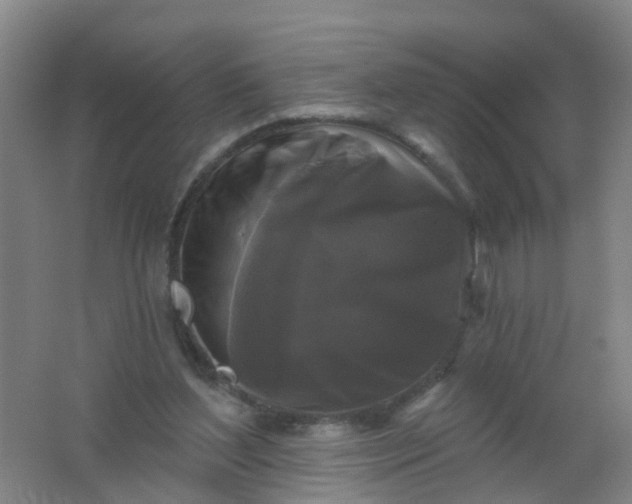 X0000062140204200512231514