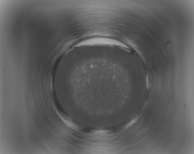 X0000062140205200512231514