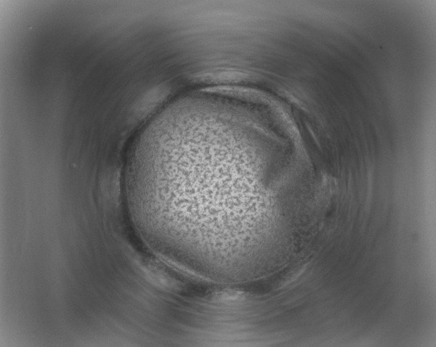 X0000062140206200512231514