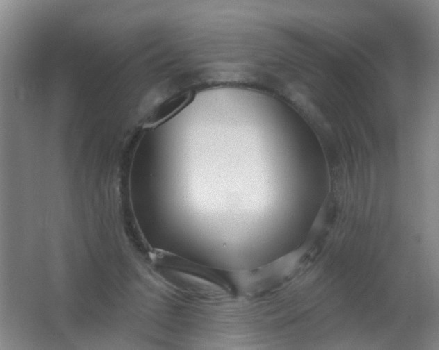 X0000062140207200512231514