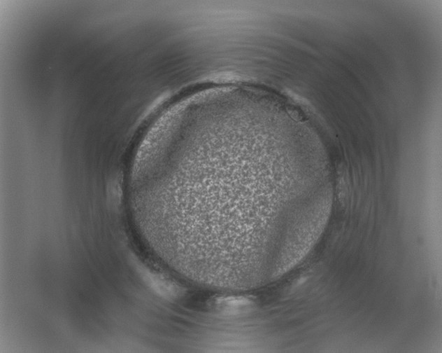 X0000062140208200512231514