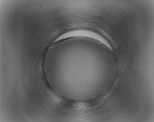 X0000062140209200512231514