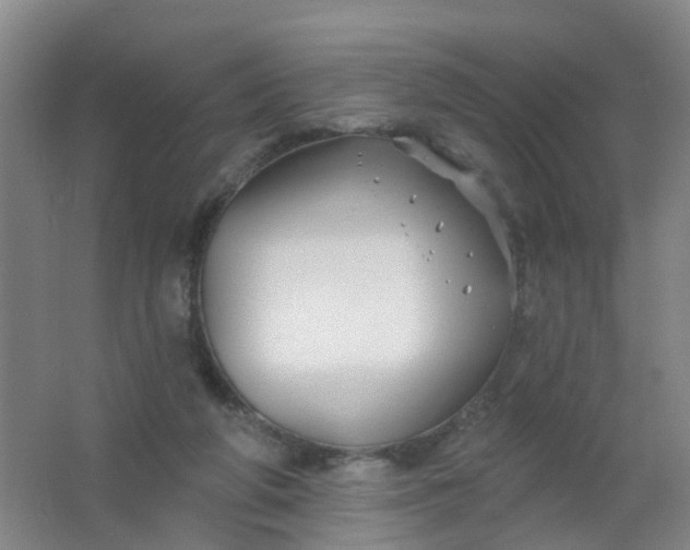 X0000062140210200512231514