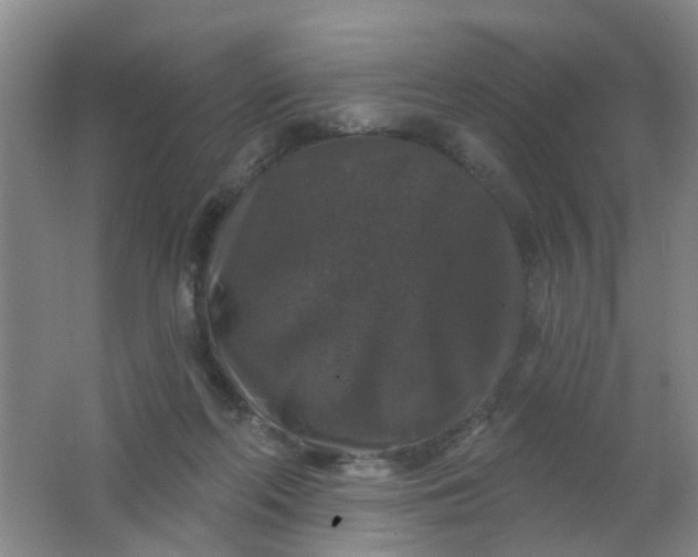 X0000062140214200512231514