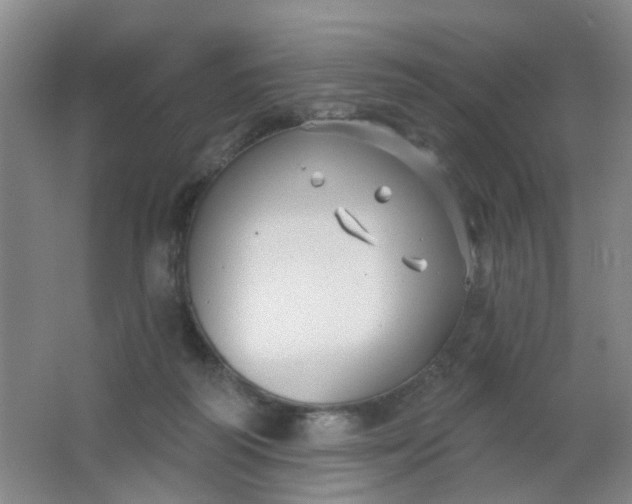 X0000062140218200512231514