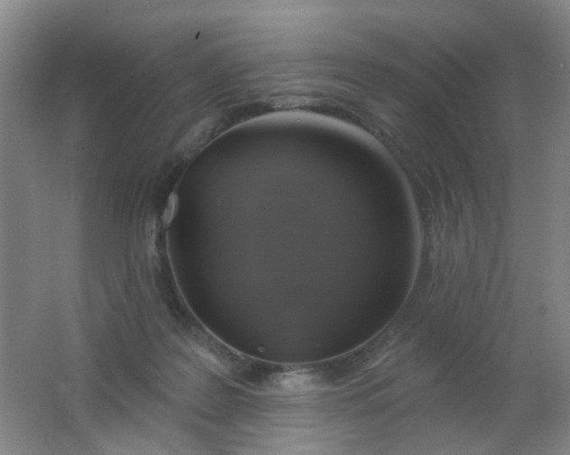 X0000062140219200512231514