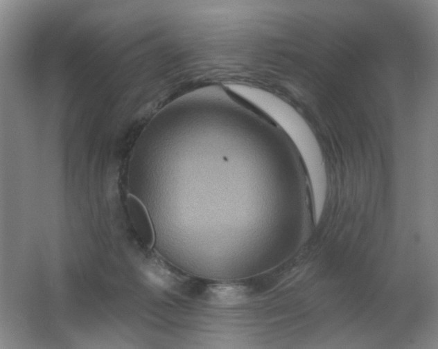 X0000062140221200512231514