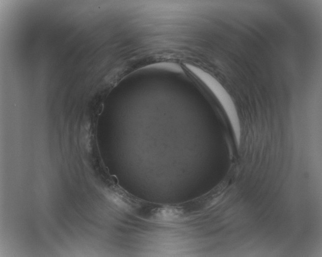 X0000062140223200512231514