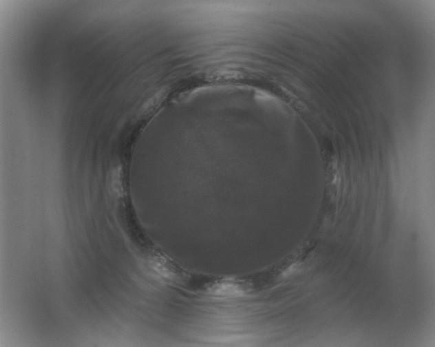 X0000062140224200512231514