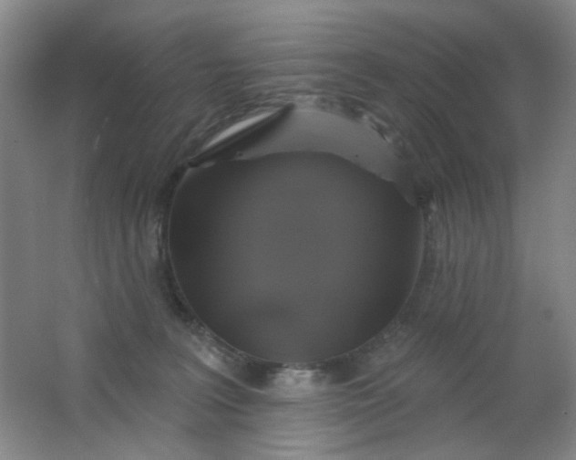 X0000062140227200512231514