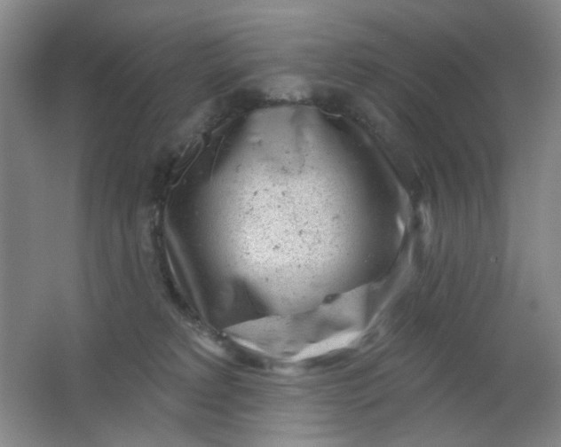 X0000062140229200512231514