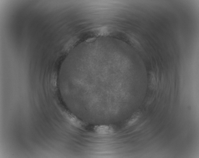 X0000062140230200512231513