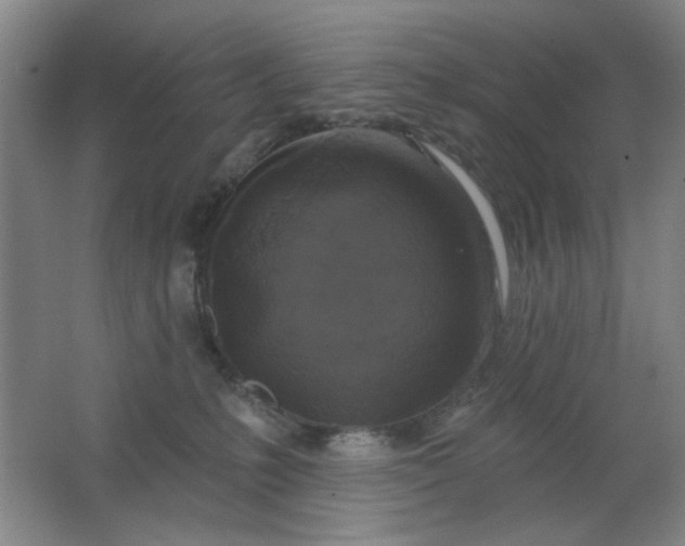 X0000062140231200512231513