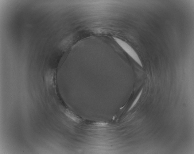 X0000062140233200512231513