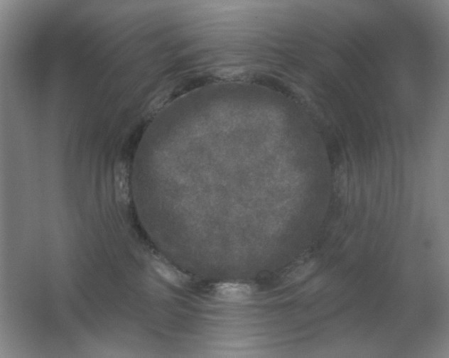 X0000062140234200512231513